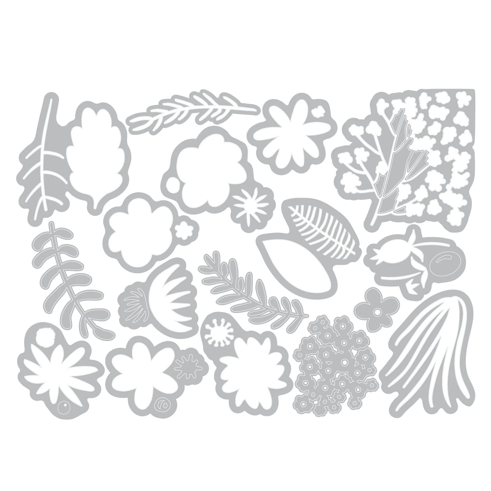 Sizzix Thinlits Die Set 17PK - Funky Floral #1 by Tim Holtz - Image 3