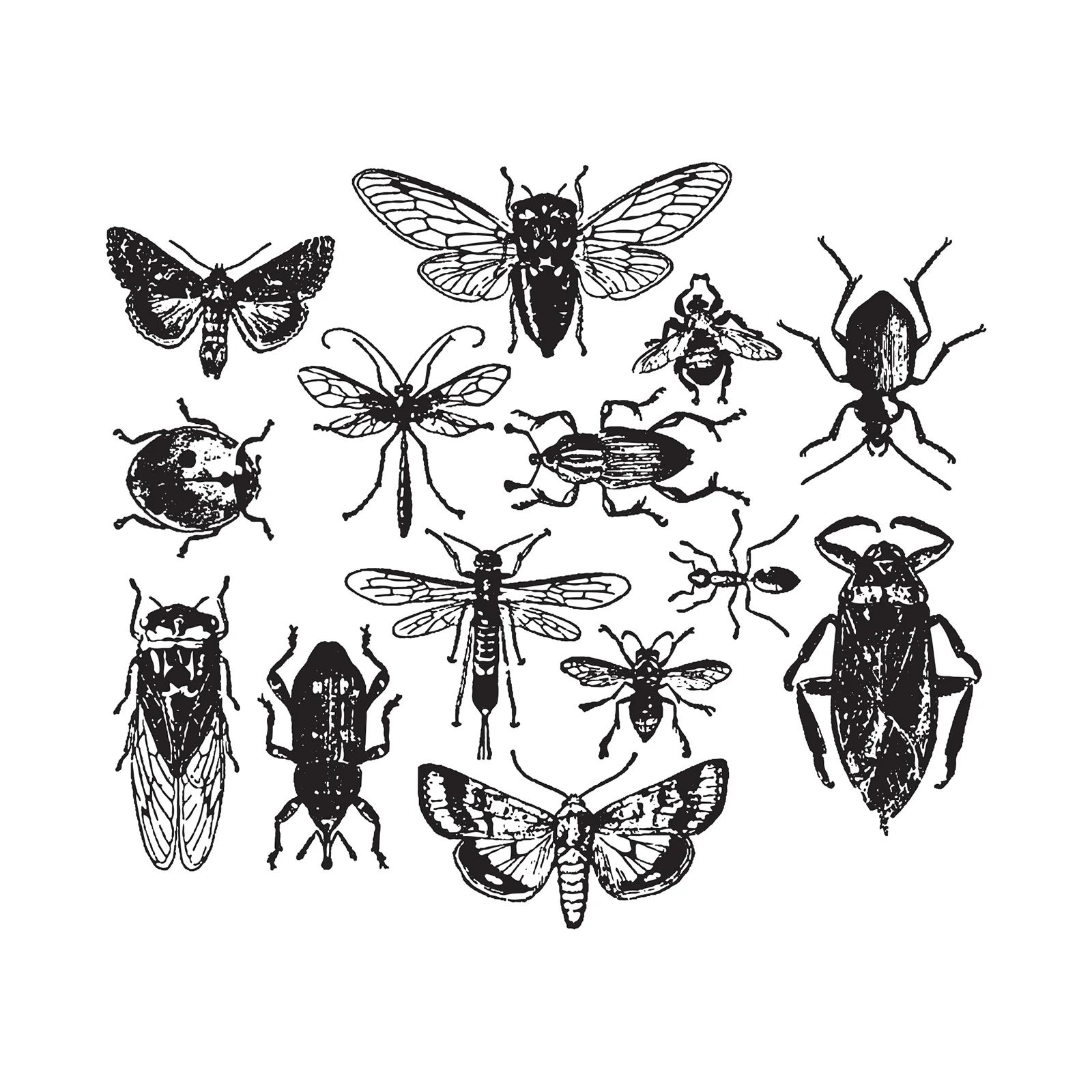 Stampers Anonymous Entomology by Tim Holtz - Cling Mount Stamps - Image 3